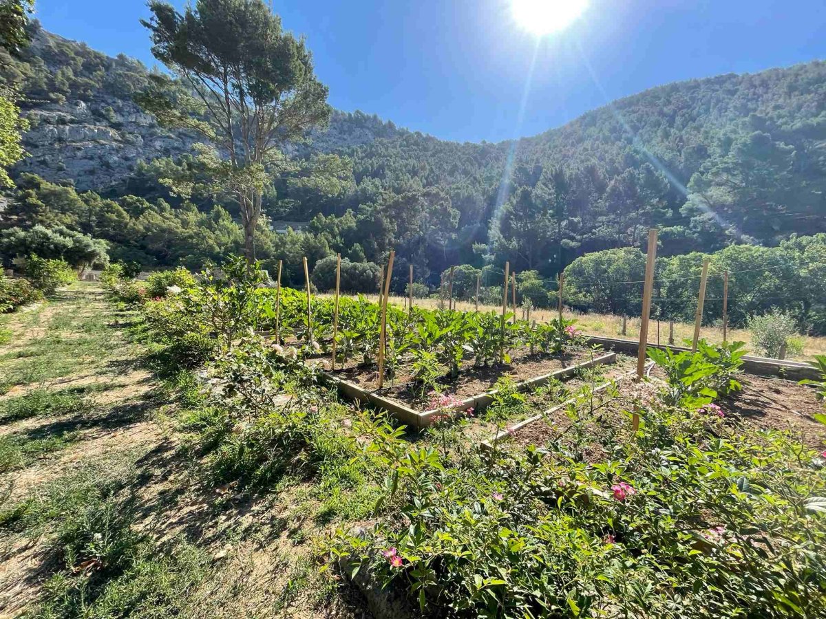 Verger des Gorges, Ollioules © Charlotte Springaux