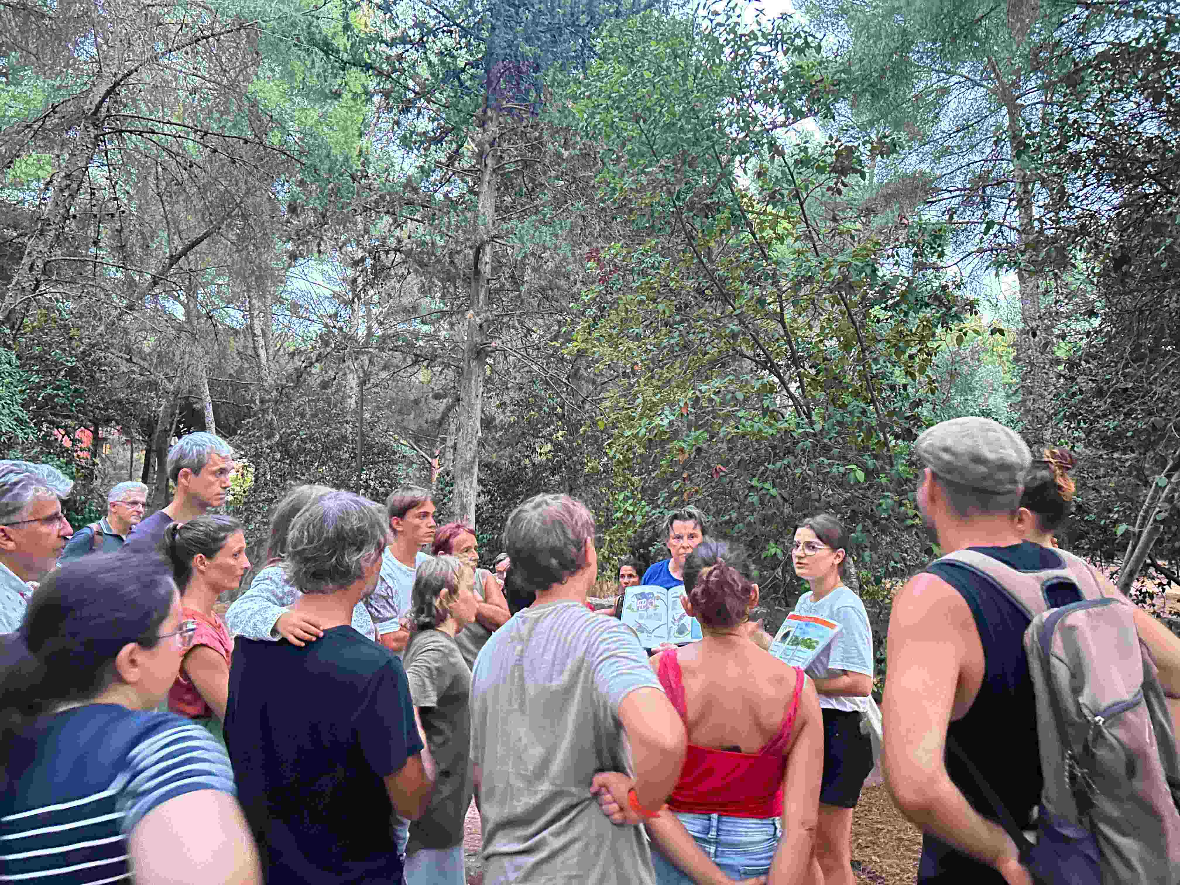 Animation chiroptères au parc du Canet © LPO PACA