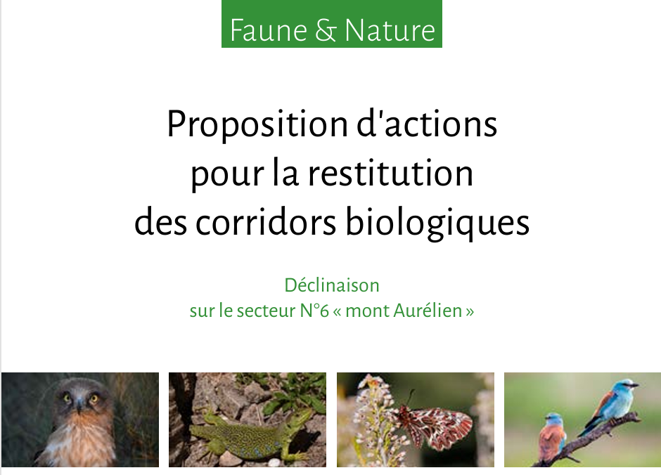 Faune & Nature © LPO PACA