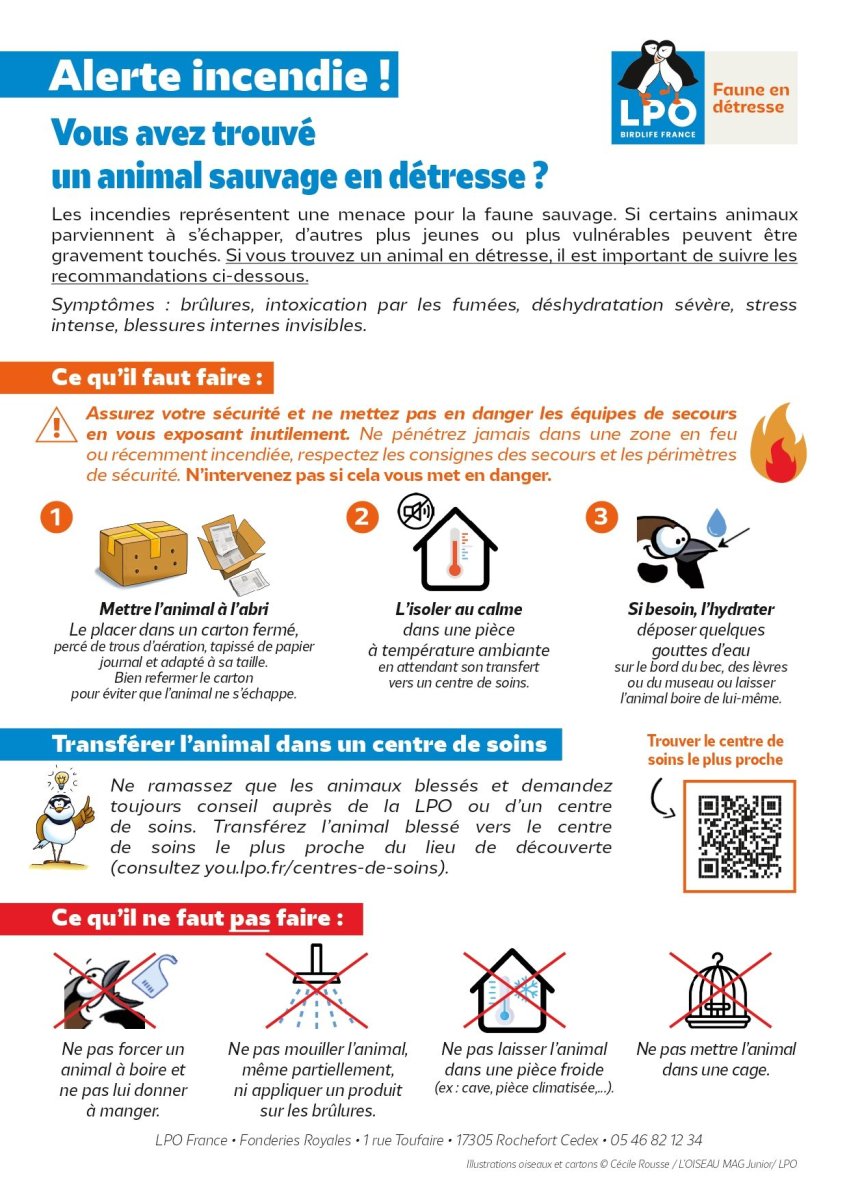Affiche « Alerte incendie ! » - LPO