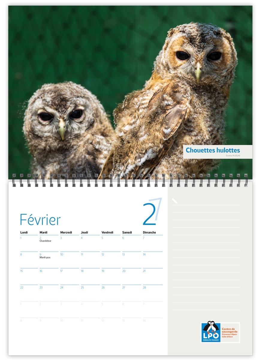 Calendrier 2027 du Centre régional de sauvegarde de la faune sauvage de Buoux Calendrier 2027 du Centre régional de sauvegarde de la faune sauvage de Buoux