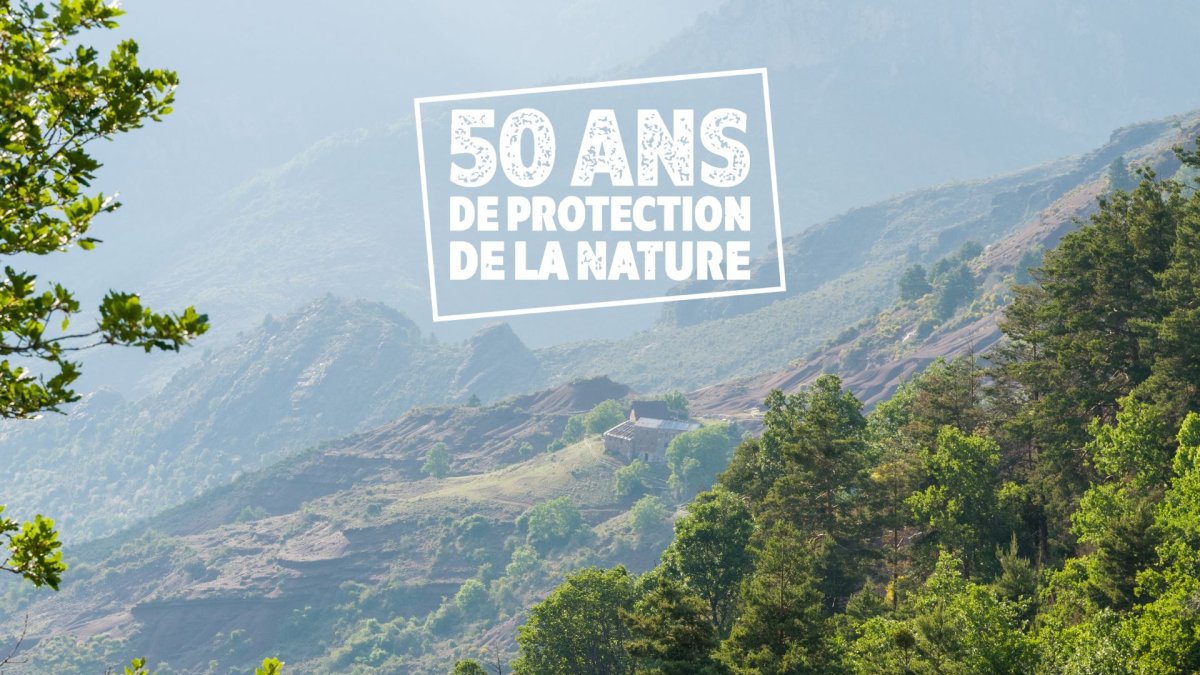 Réserve Naturelle Régionale des gorges de Daluis © Marc Brulard