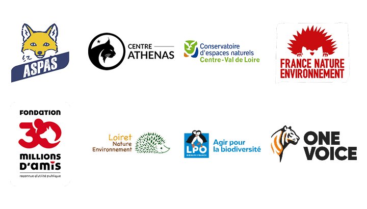 Logos