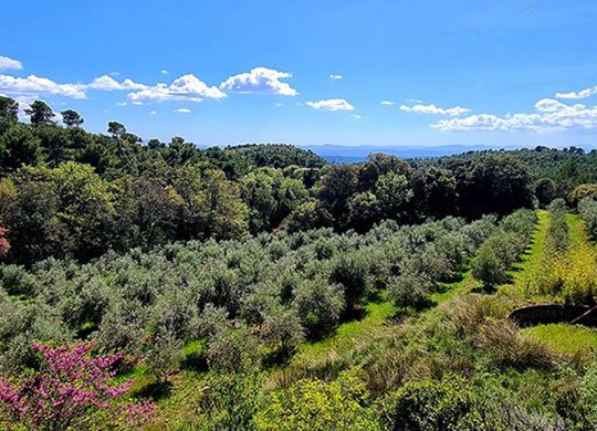 Le Domaine de la Baume, dans le Var © Marion Fouchard