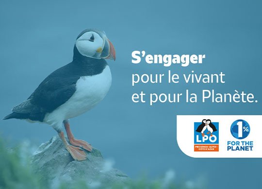 visuel macareux moine famhud domaine public