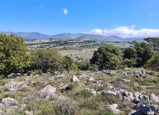 Conservation et valorisation des papillons de jour et des zygènes « Plan régional d’actions » de la Dracénie et du Pays de Fayence (83) © Marion Fouchard