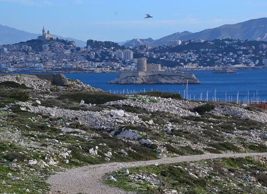 Marseille © Jeanne MENJOULET CC BY 2.0