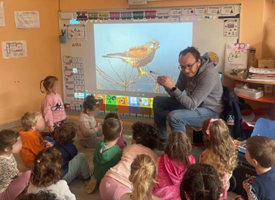 Les oiseaux migrateurs © LPO PACA