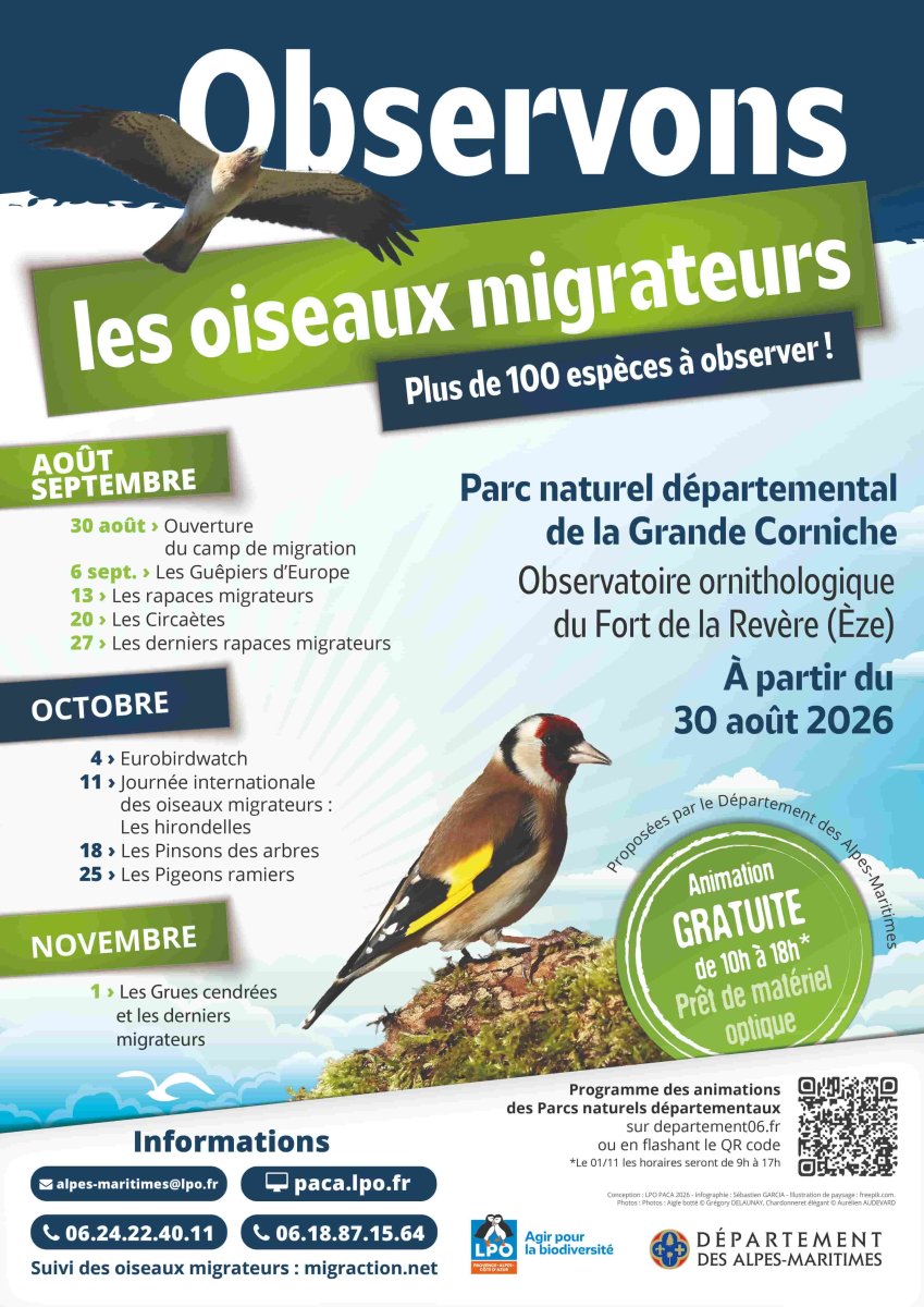 Affiche camp de migration 2026