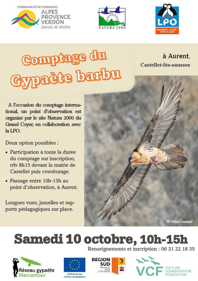 affiche comptage des gypaètes