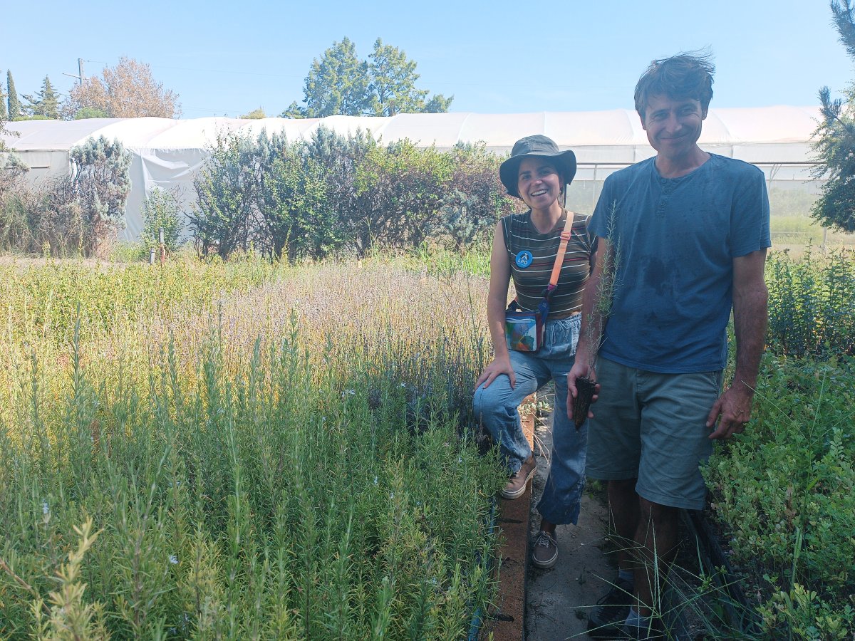 Visite d’une pépinière au label «&nbsp;Végétal local&nbsp;», Cérès Flore, à Loriol-du-Comtat © Aurélie Johanet