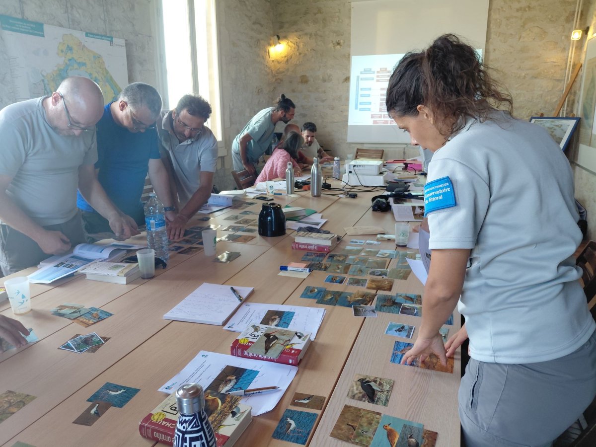 Formation LPO PACA