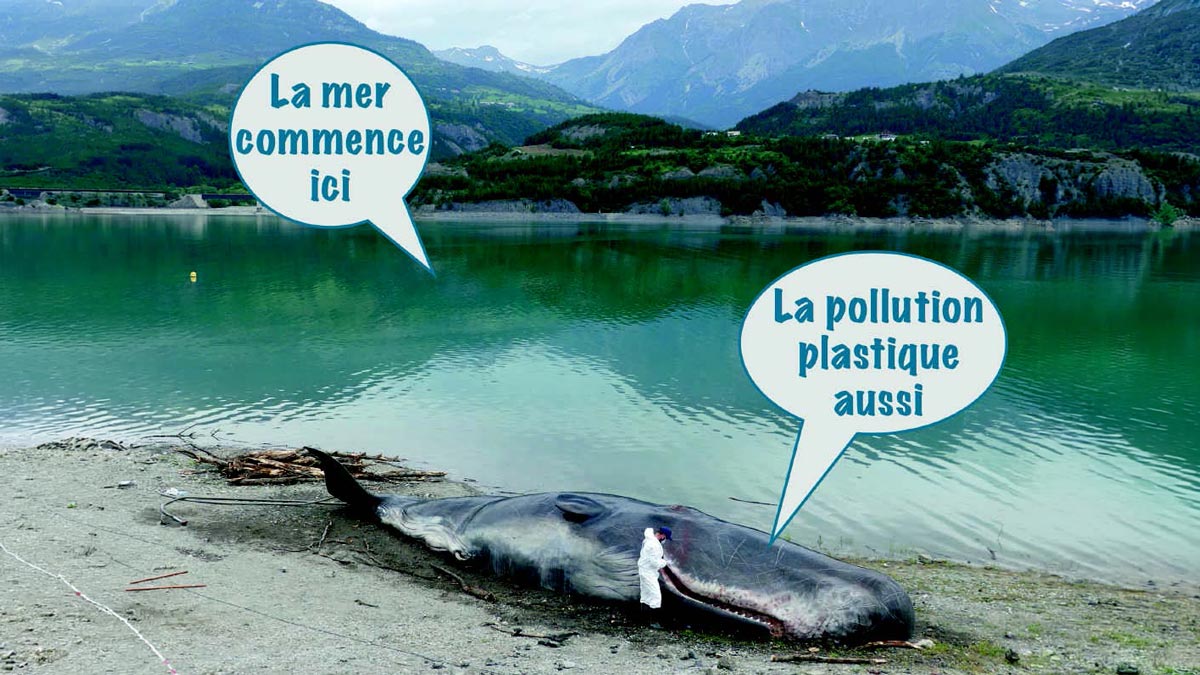Faux cachalot échoué à Savines-le-Lac, à l’occasion de la Journée mondiale des océans © LPO PACA