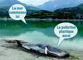 Faux cachalot échoué à Savines-le-Lac, à l’occasion de la Journée mondiale des océans © LPO PACA