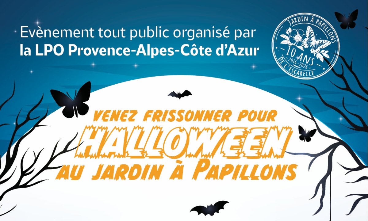 Visuel LPO PACA
