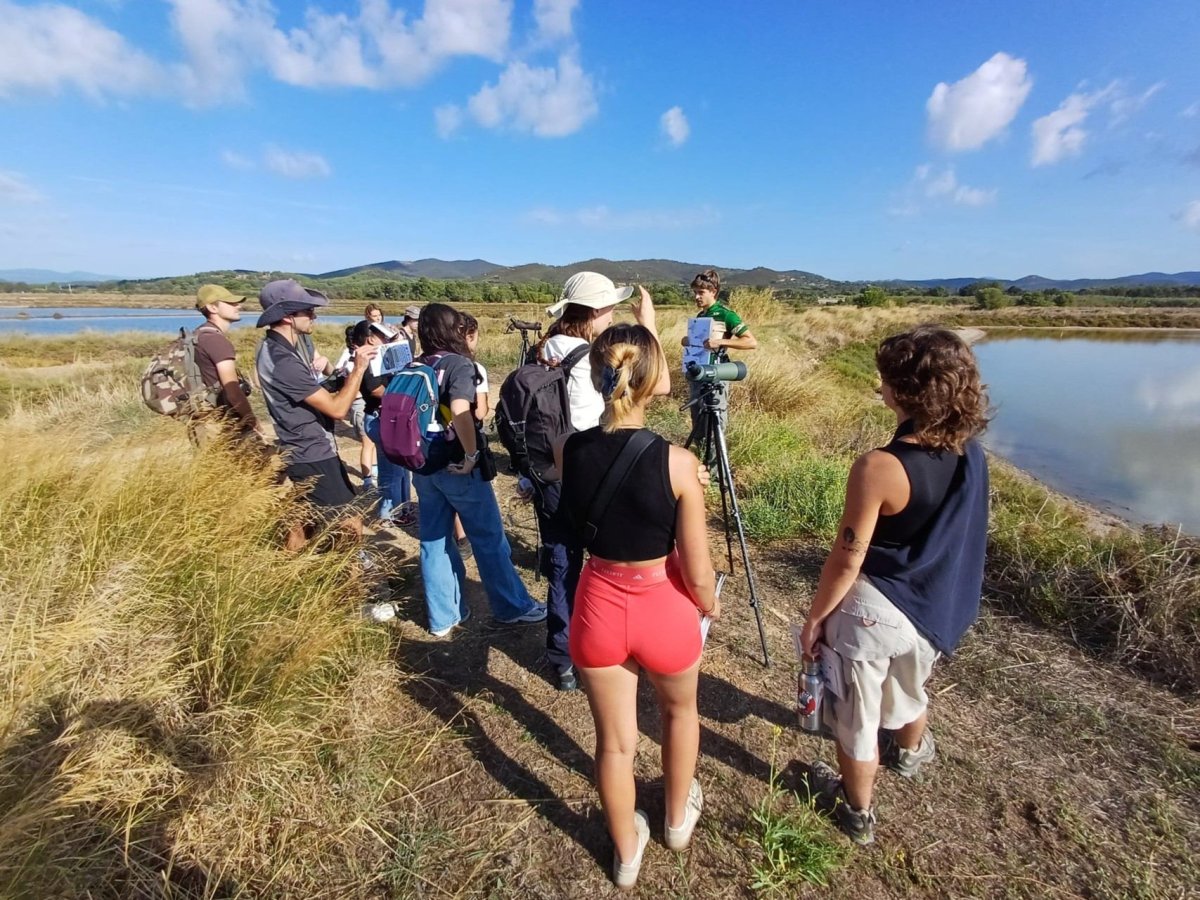 Groupe aux Vieux Salins d'Hyères © LPO PACA