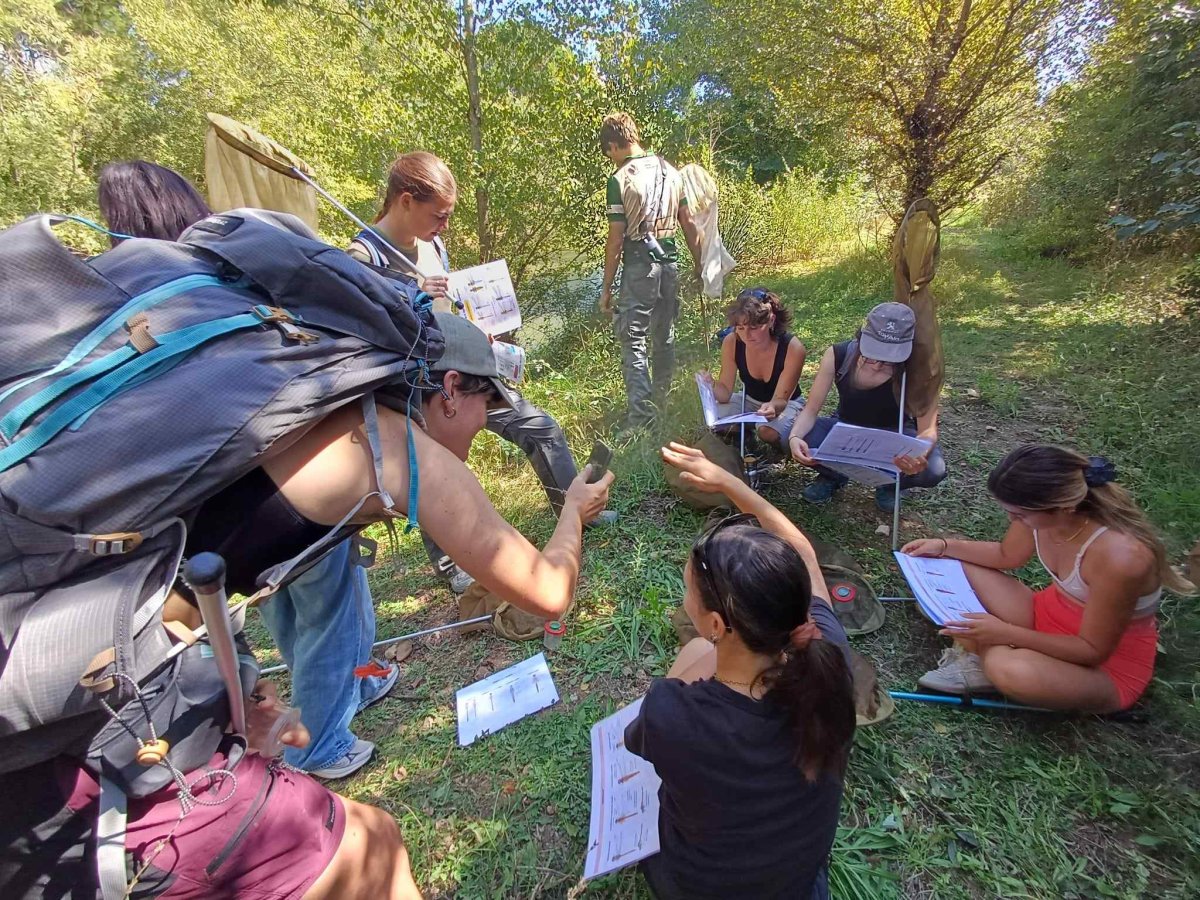 Groupe aux Étangs de Sauvebonne © LPO PACA