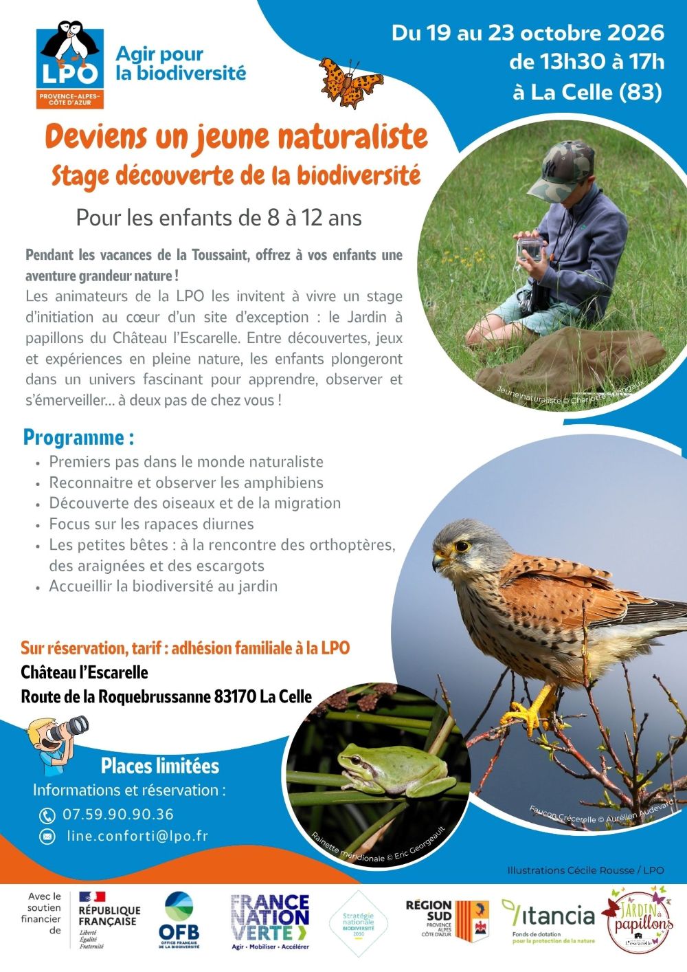 stage jeunes naturalistes toussaint escarelle