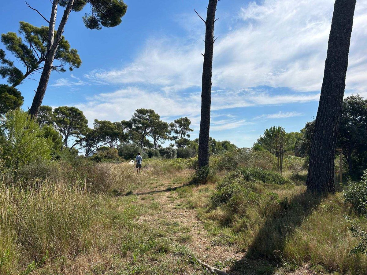Parc de la Castellane