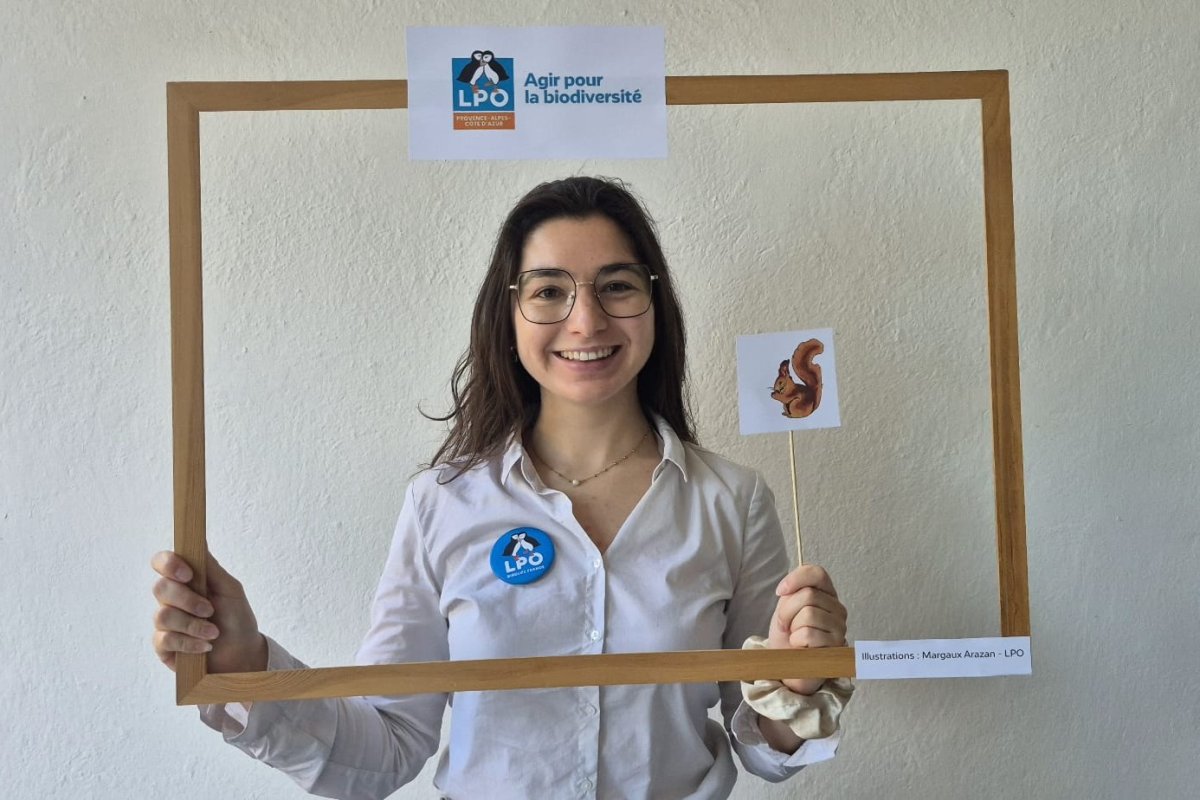 Coralie, lors de son service civique © LPO PACA