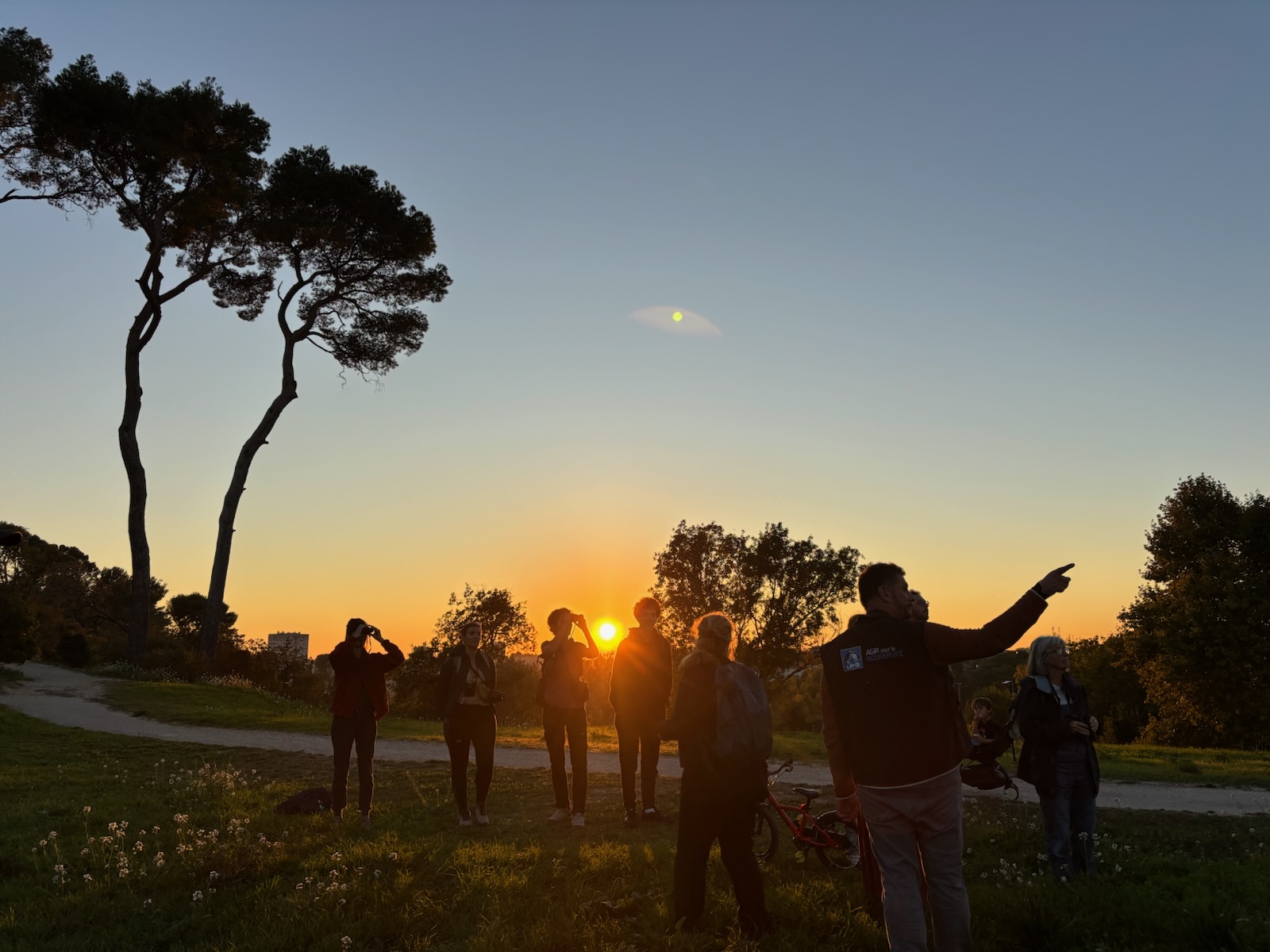 Sortie découverte Chevêche (c) I.Corona
