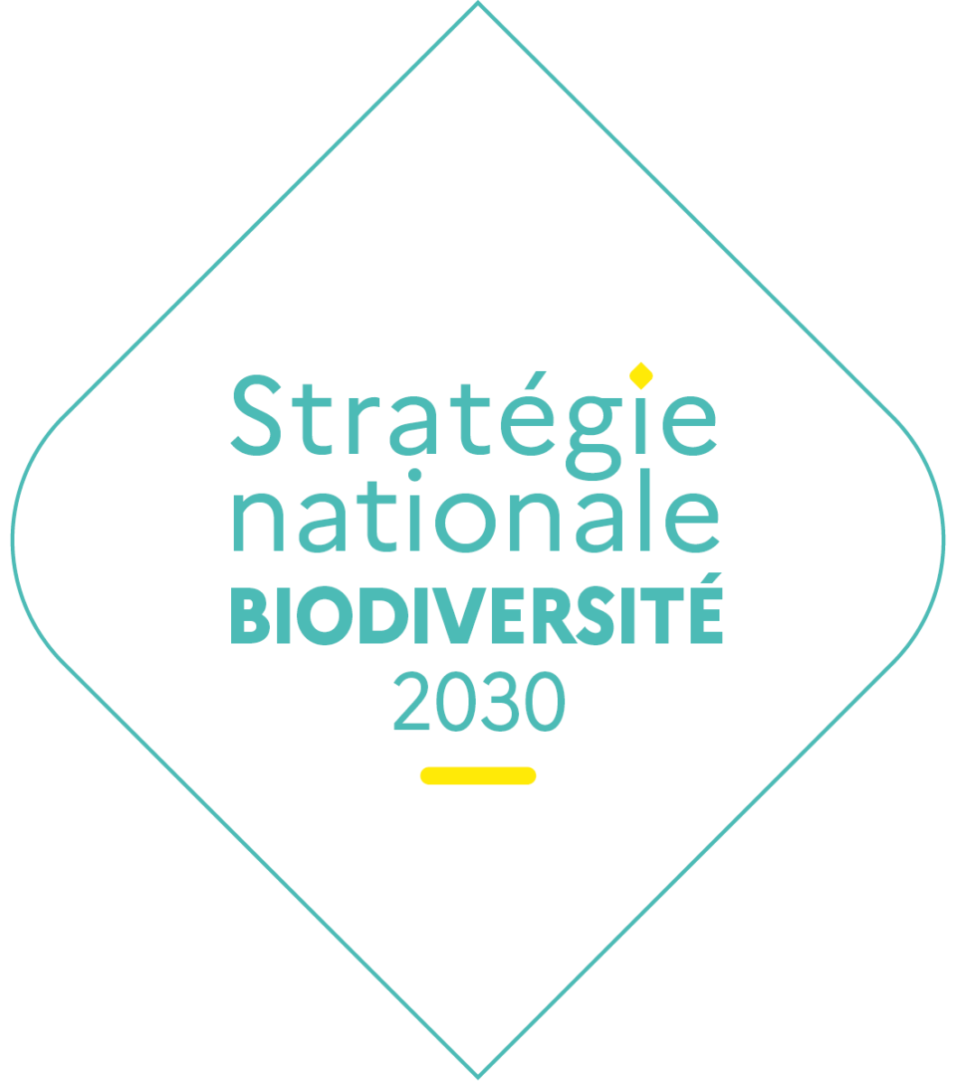 23112 snb logo fond blanc v1