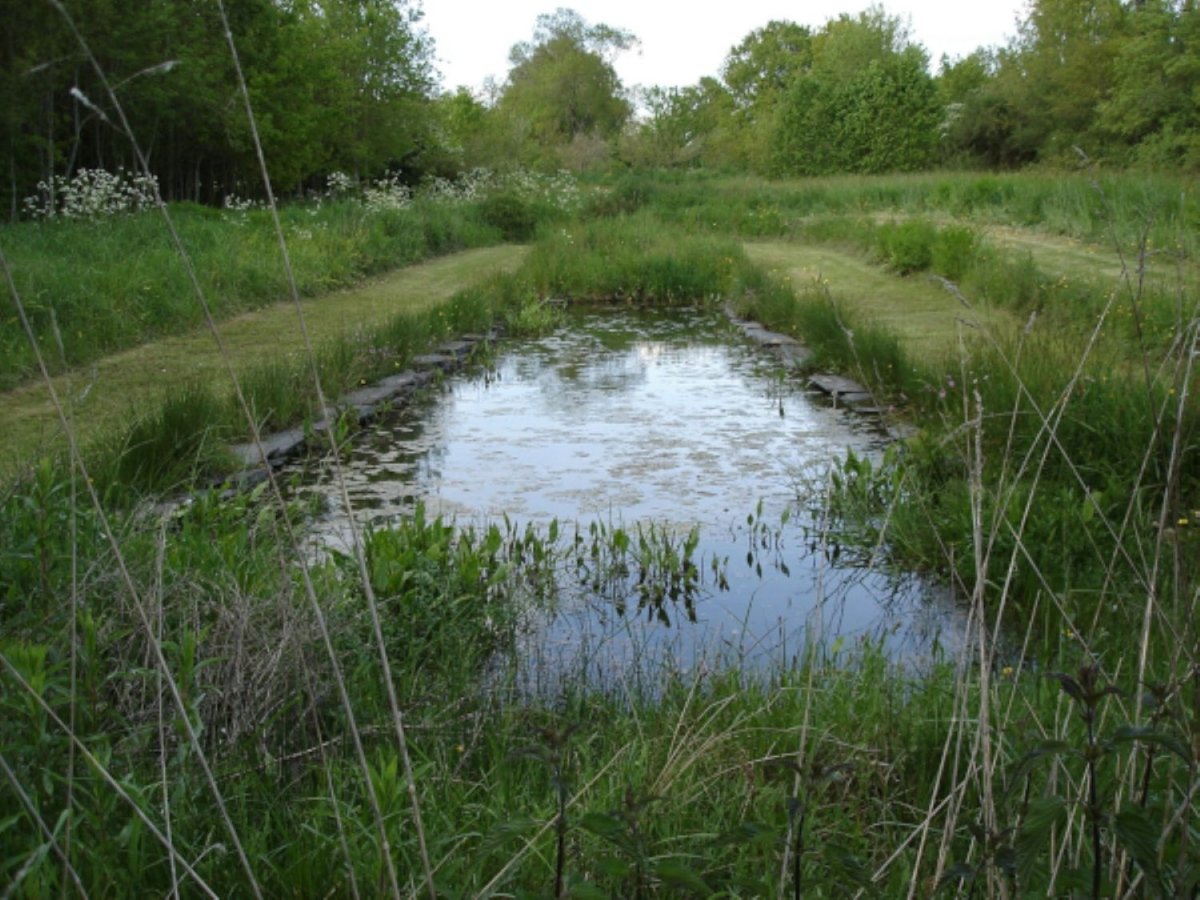 Bassin végétalisé dans un Refuge LPO © François BOURDET