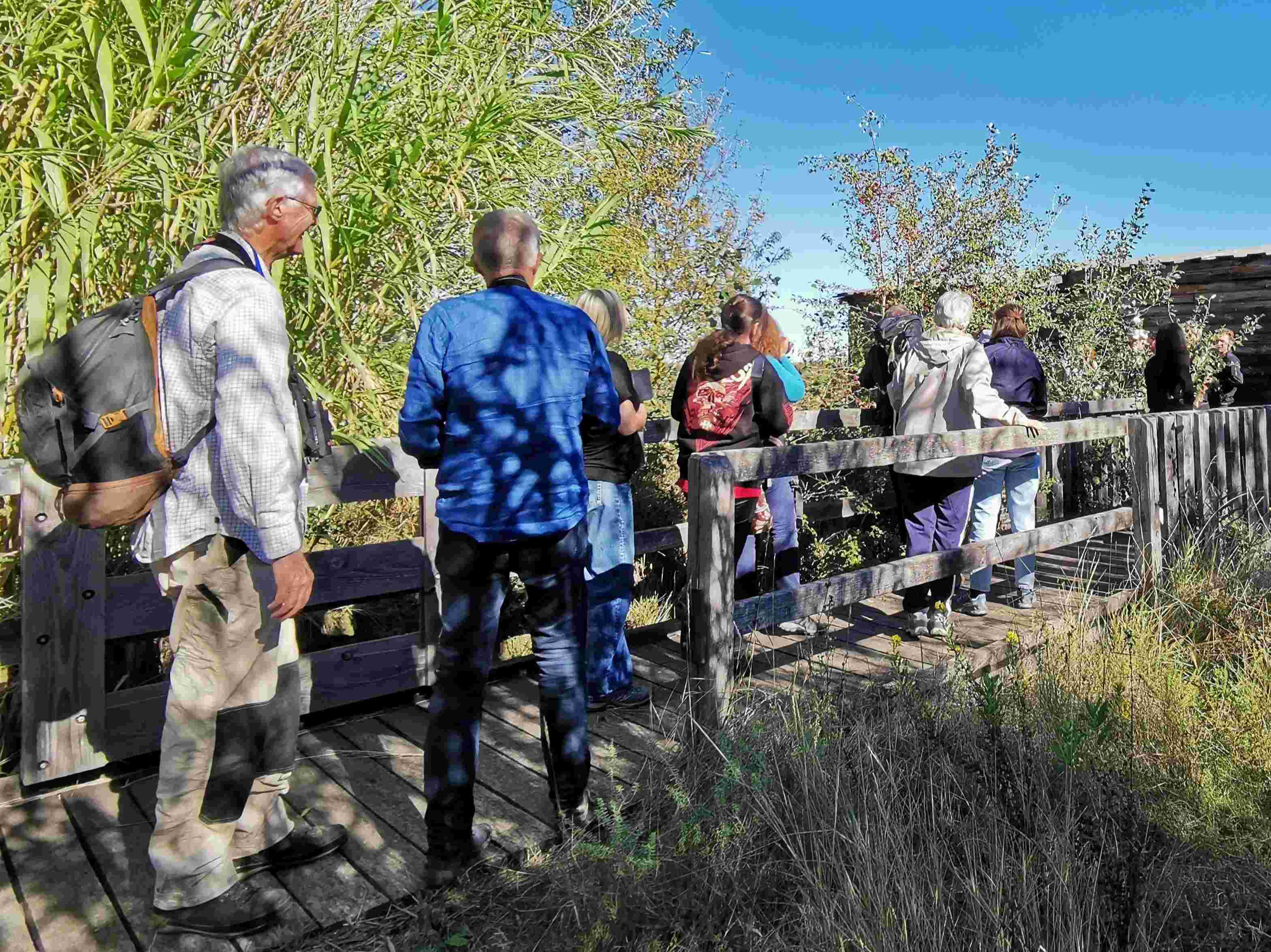 Visite de la Réserve Naturelle Nationale des Marais du Vigueirat © Marylou MOTTE
