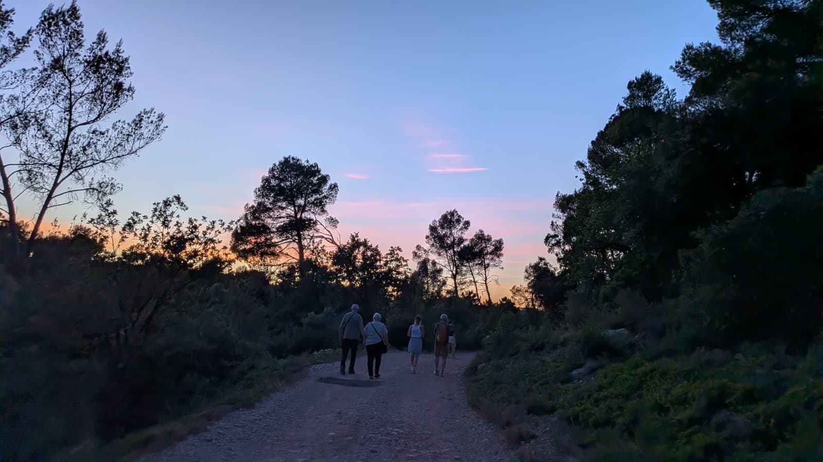 Balade nocturne à l'Escarelle © LPO PACA
