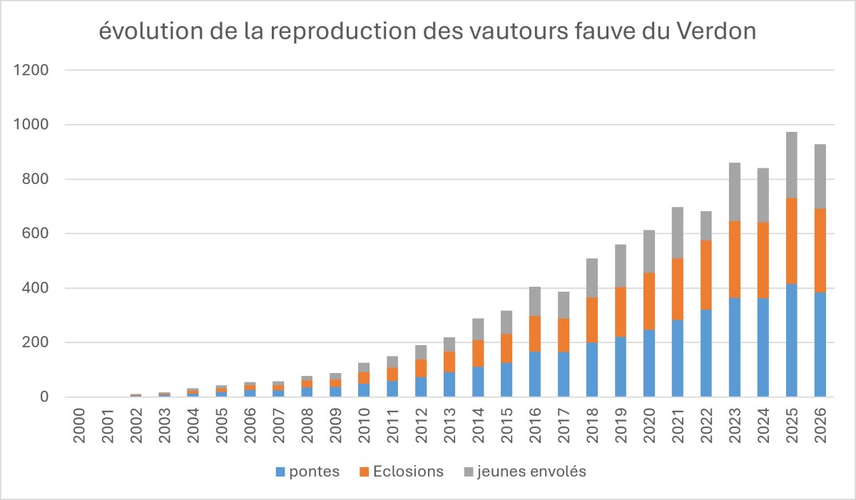 évolution de la reproduction des Vautours fauve evolution du nompbre de pontes chez les vautours fauve du vedron