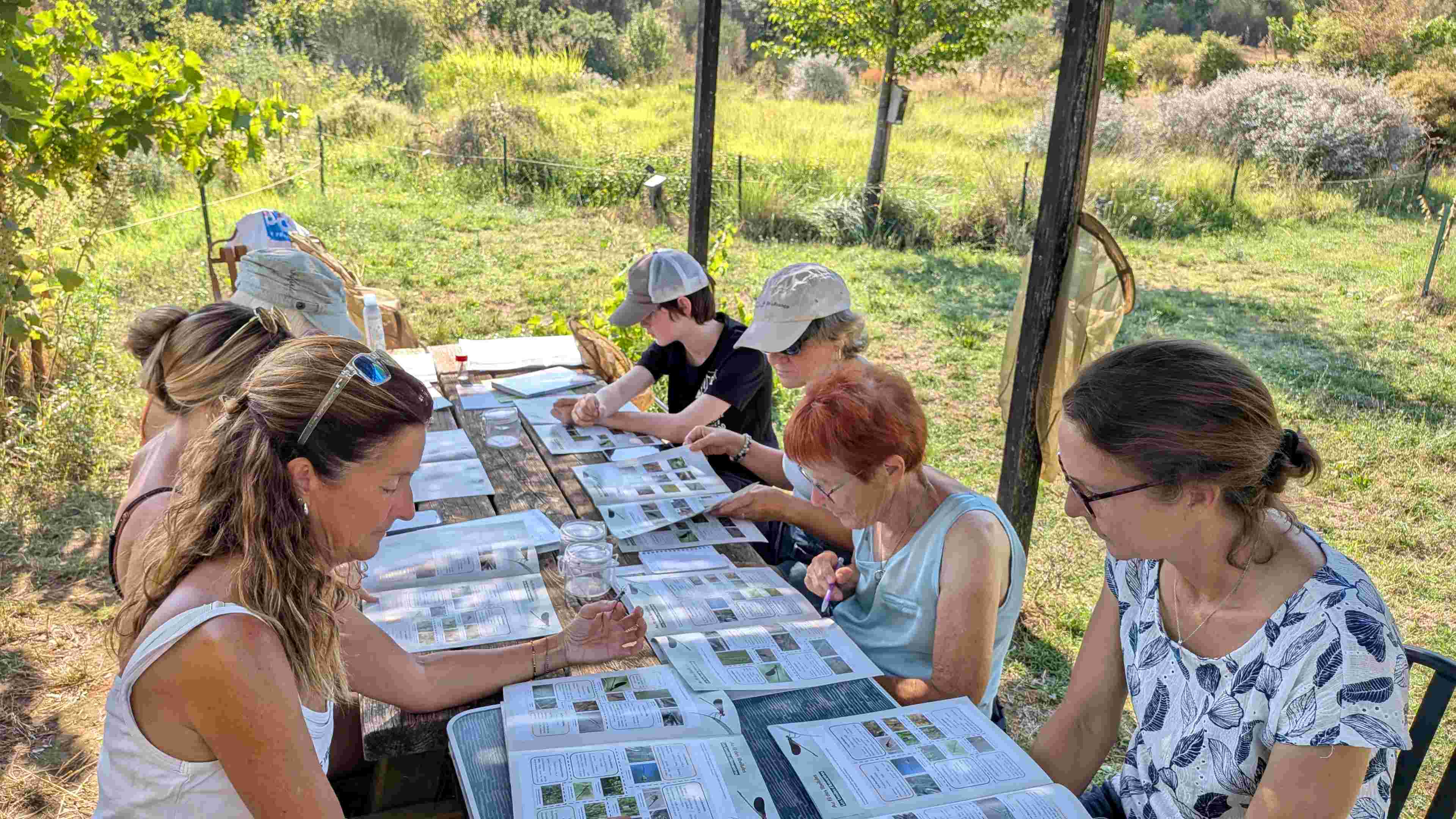 Initiation au Jardin à papillons de l'Escarelle © Line CONFORTI Initiation au Jardin à papillons de l'Escarelle © Line CONFORTI