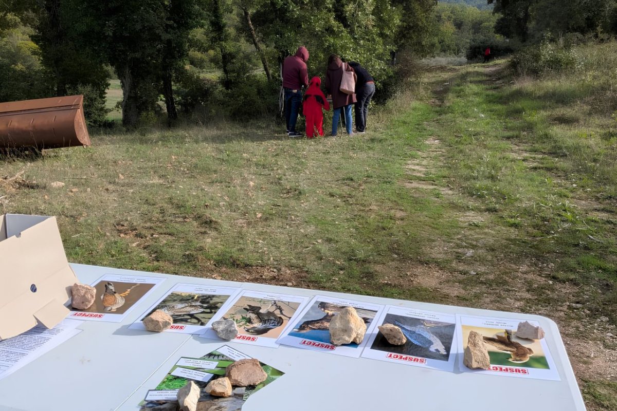 Cluedo sur les rapaces lors d'Halloween au Château l'Escarelle © LPO PACA - Line CONFORTI
