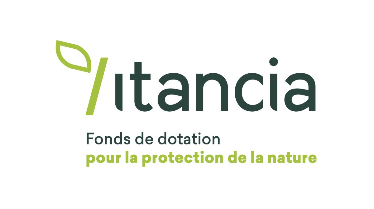 Logo Itancia
