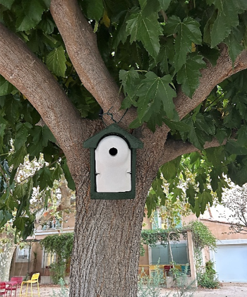 Nichoir à mésange bleue