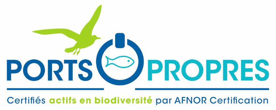 ports propres dim copy