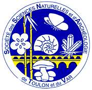 ssnatv logo