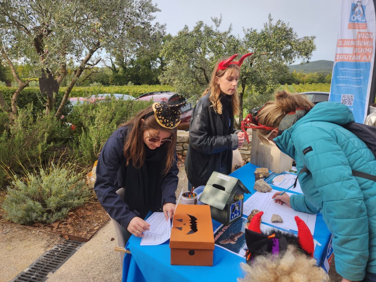Accueil lors d'Halloween au Château l'Escarelle © LPO PACA - Marie BOETTI