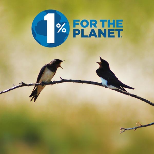 1% for the Planet - Hirondelles rustique © Nicolas Bastide