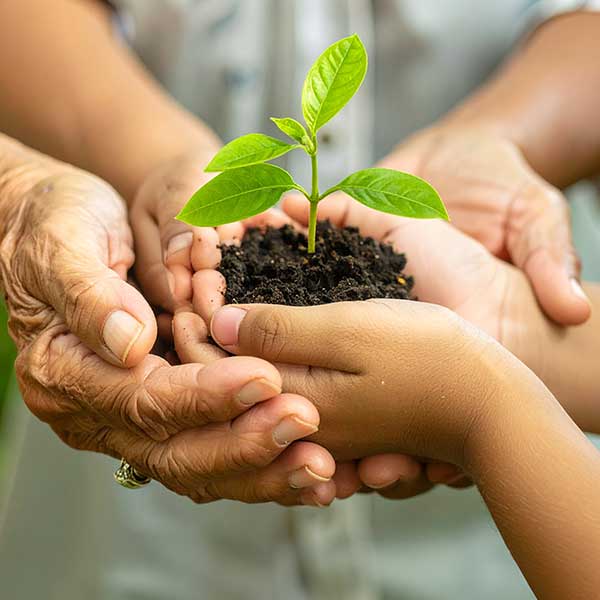 Faire un leg, une donation