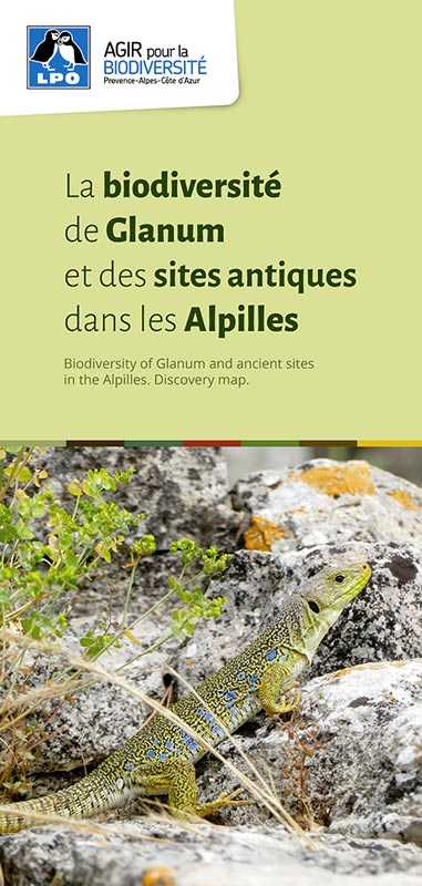 La biodiversité  de Glanum  et des sites antiques dans les Alpilles