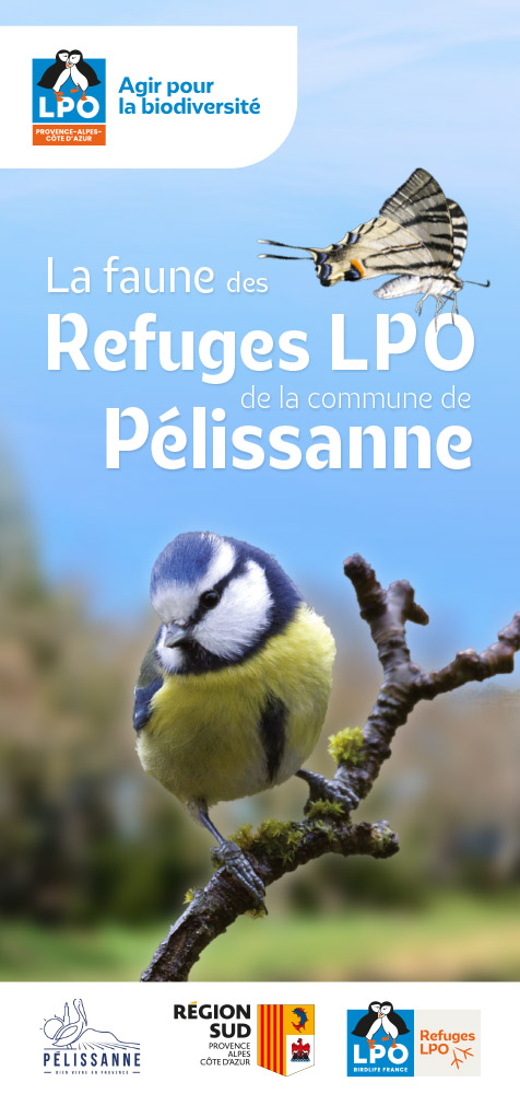 Carte découverte "La faune des Refuges LPO de la commune de Pélissanne"