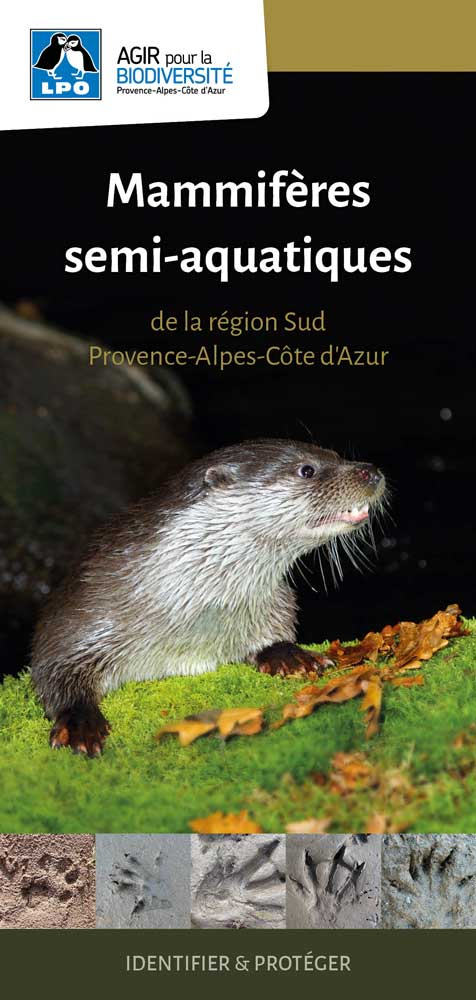 Mammifères semi-aquatiques de la région Sud Provence-Alpes-Côte d'Azur