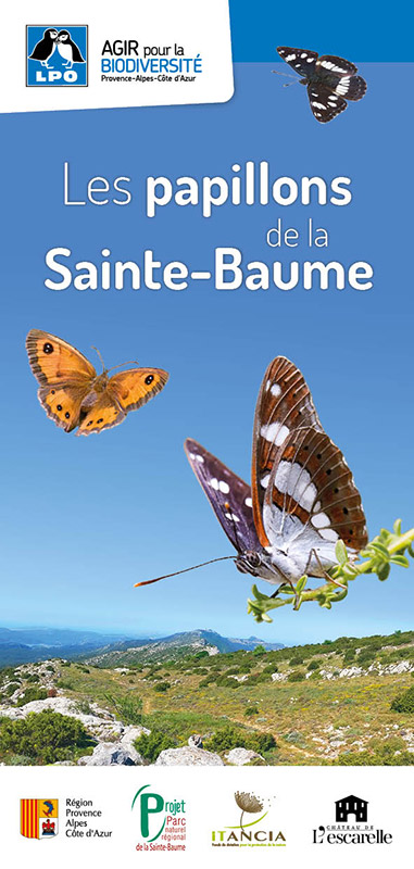 Les papillons de la Sainte-Baume