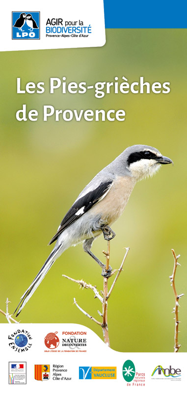 Carte découverte des pies-grièches de Provence