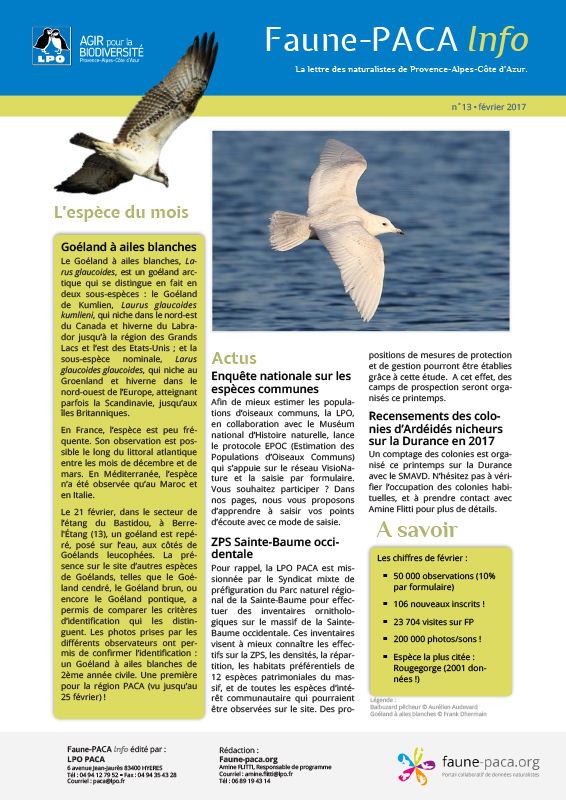 Faune-PACA Info n°13