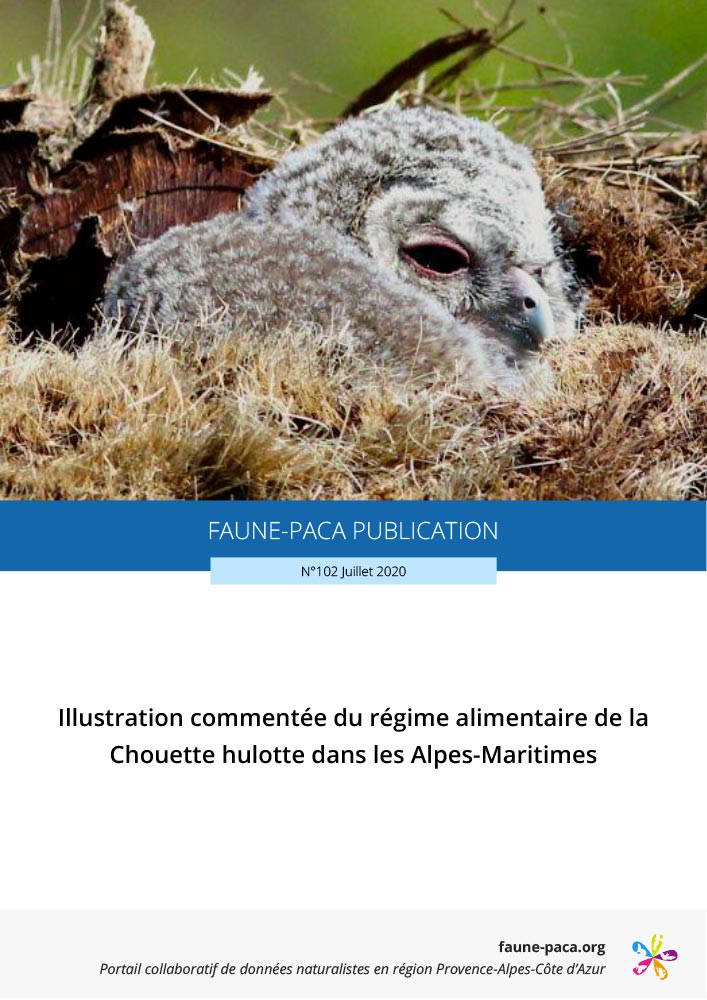Faune-PACA Publication n°102 : Illustration commentée du régime alimentaire de la Chouette hulotte dans les Alpes-Maritimes