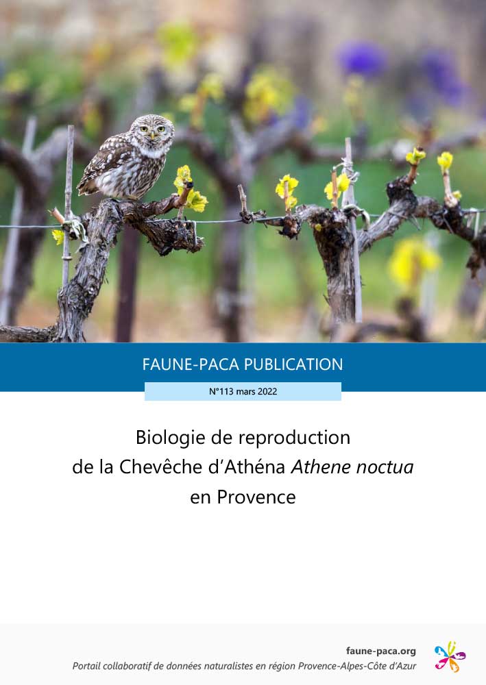 Faune-PACA Publication n°113 : Biologie de reproduction de la Chevêche d’Athéna Athene noctua en Provence