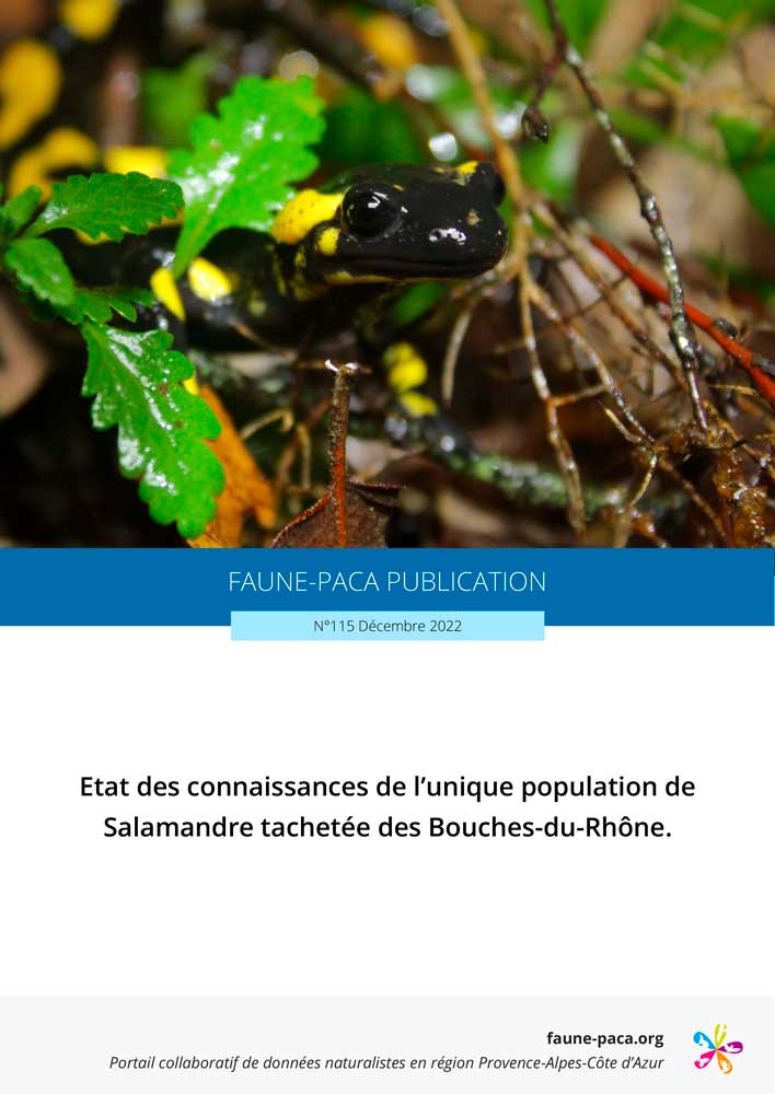Faune-PACA Publication n°115 : Etat des connaissances de l’unique population de Salamandre tachetée des Bouches-du-Rhône