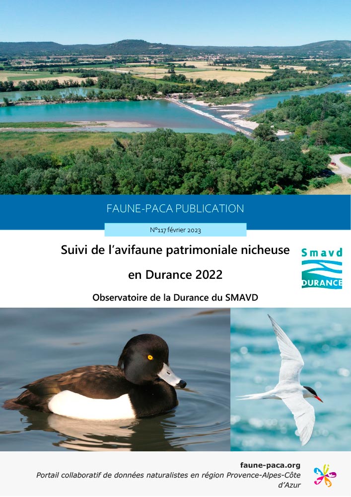 Faune-PACA Publication n°117 : Suivi de l’avifaune patrimoniale nicheuse en Durance 2022