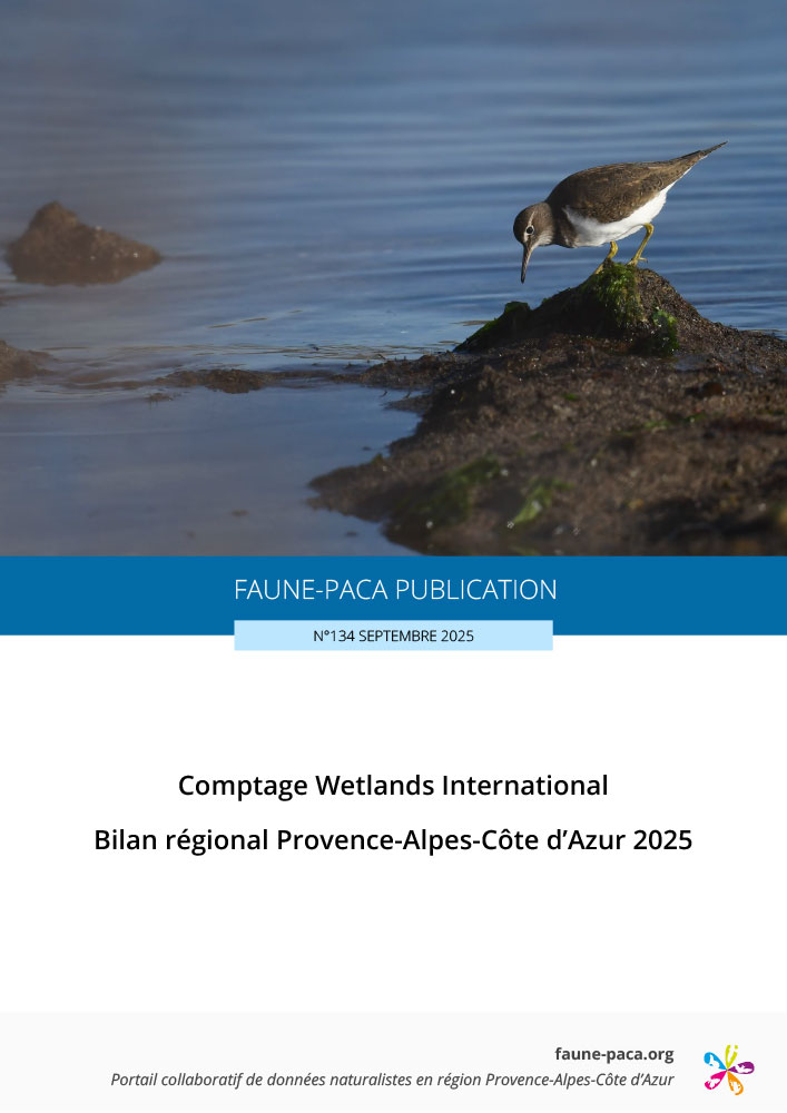 Faune-PACA Publication n°134 : Comptage Wetlands International Bilan régional Provence-Alpes-Côte d’Azur 2025